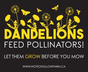 Native plant nursery Not So Hollow Farm is helping "feed the bees" with these bright lawn signs.