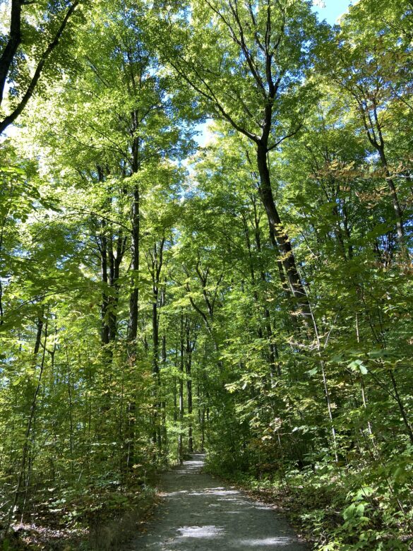 Rattlesnake Point Ontario